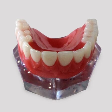 10981 - MAXILA ACRILICA TRI CLIP